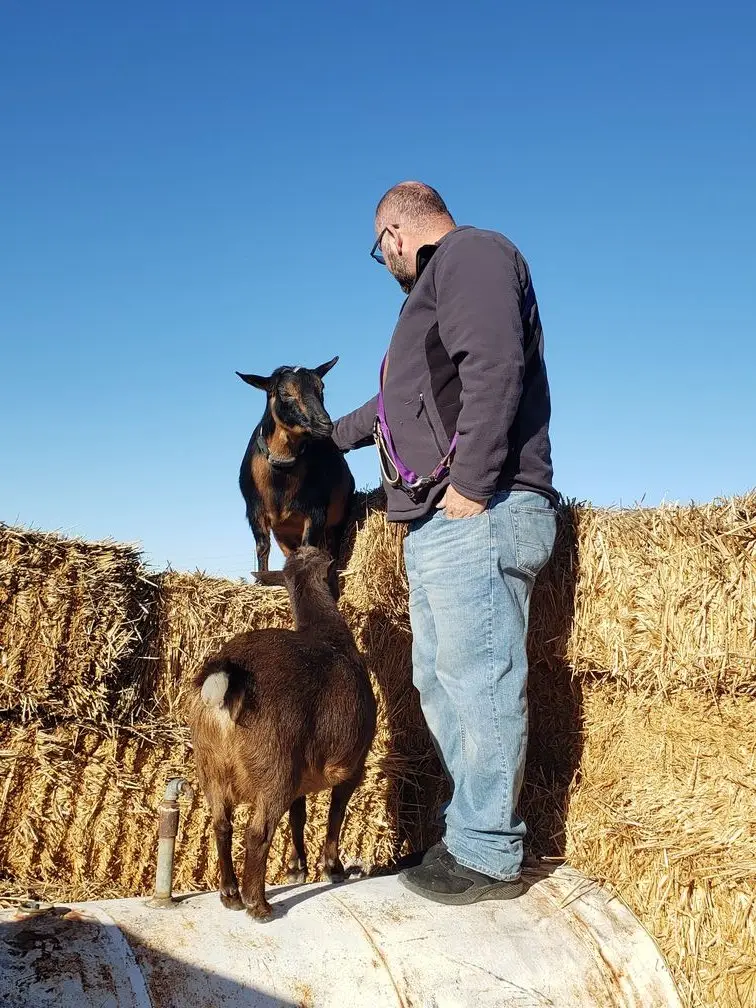 Mark up on the hay bales with therapy goats Boo and Kat, scratching Boo under the chin under a clear blue sky