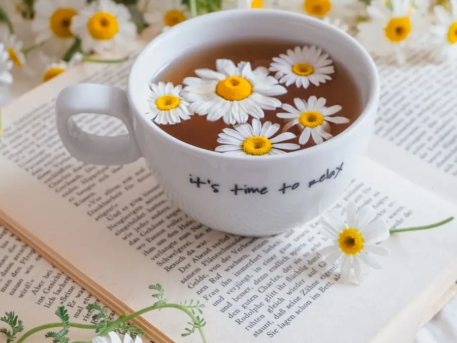 A cup of chamomile tea with fresh chamomile flowers, resting on a book