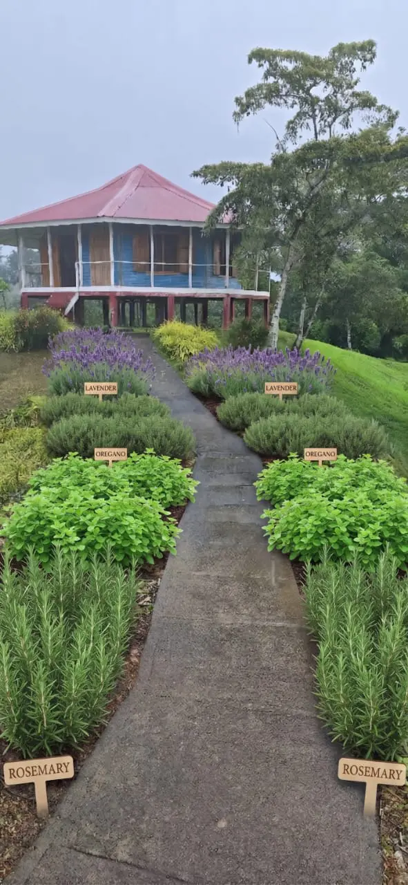 Simulation of a stone pathway leading to a blue bungalow with a red roof, with labeled beds of lavender, oregano, and rosemary planned along the walk