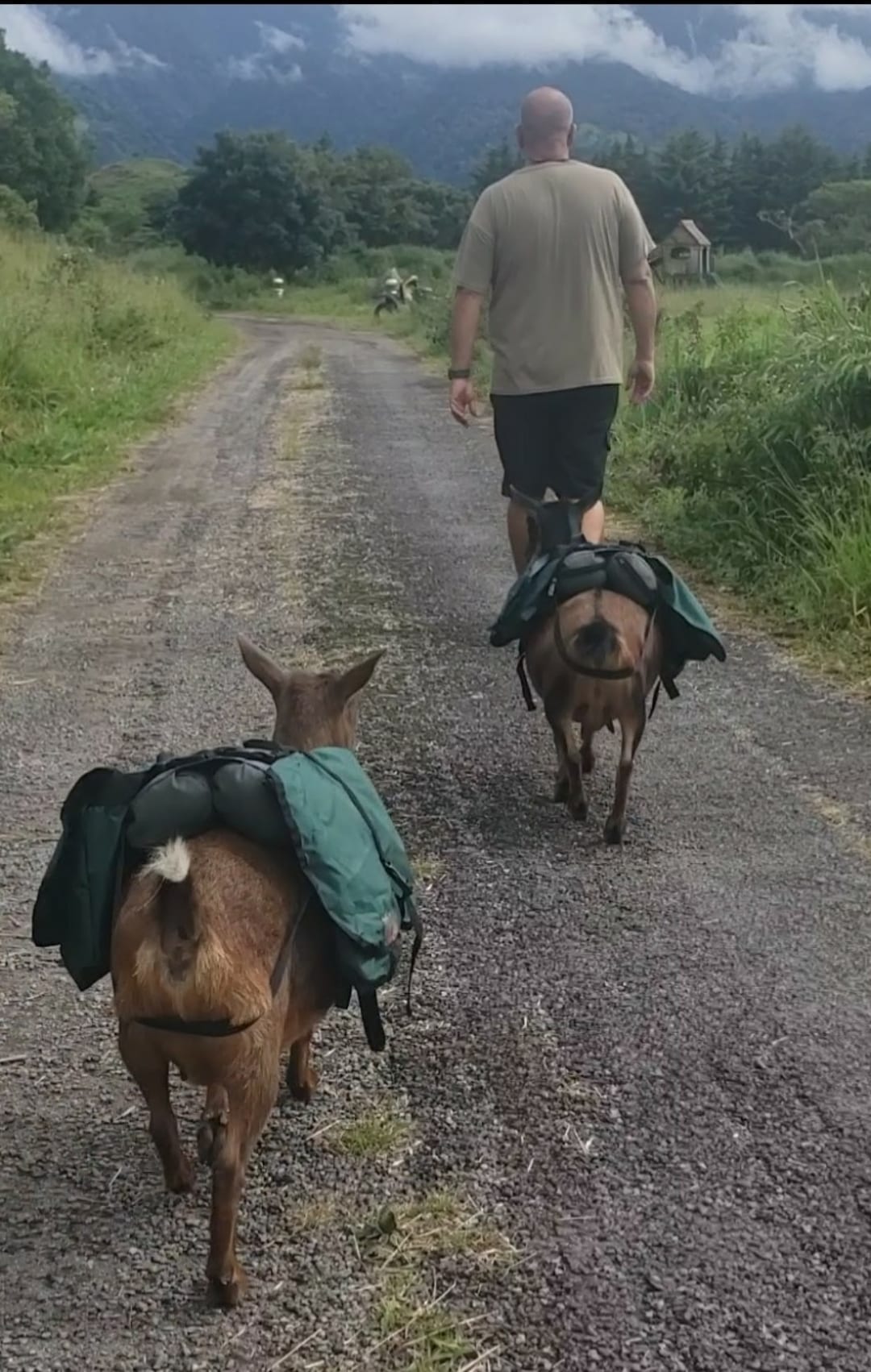 Boo and Kat, wearing packs, following Mark down a quiet road at the Retreat & Wellness Center