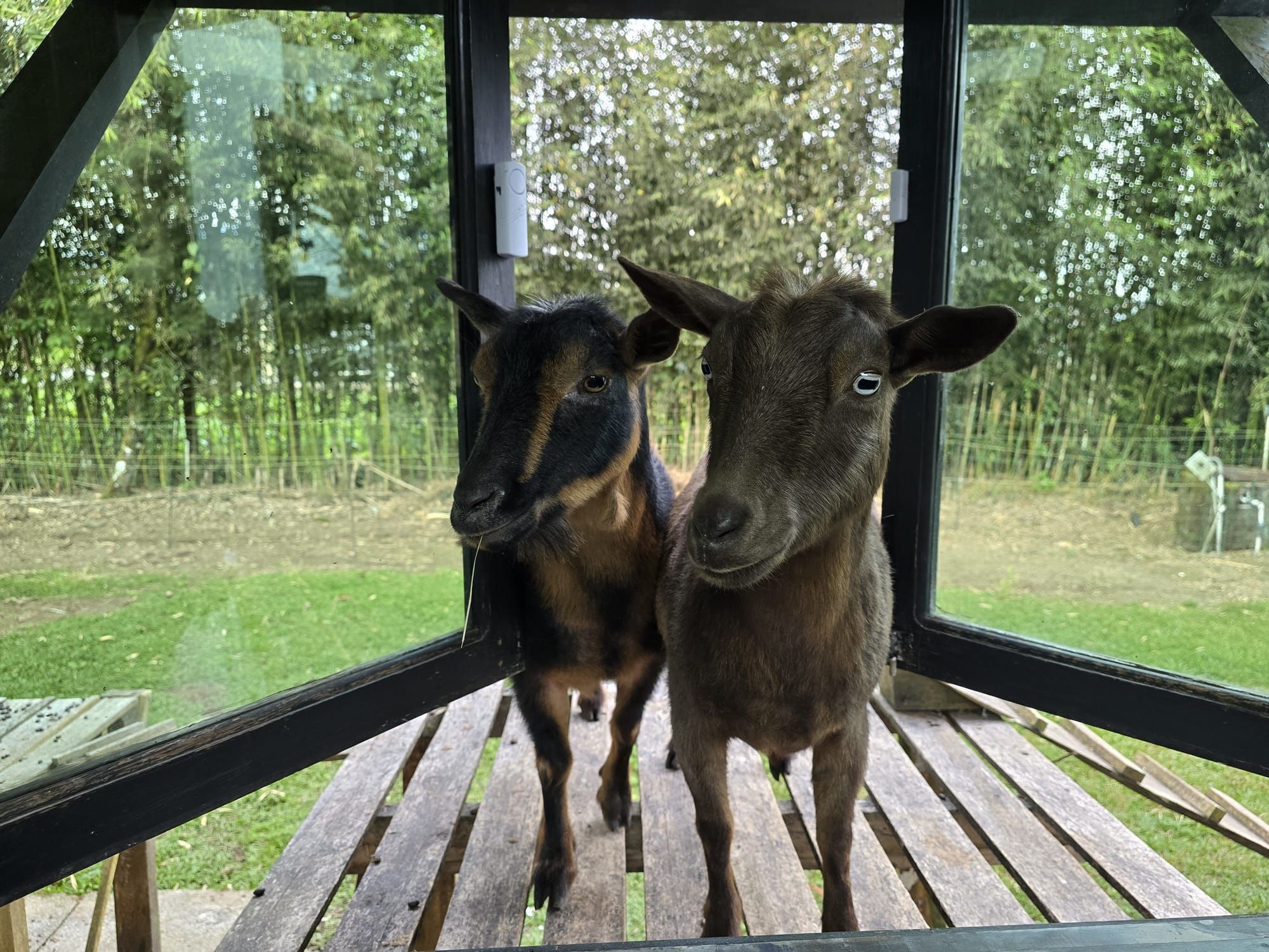 Boo and Kat standing close together, looking into the camera, at the Retreat & Wellness Center in Bocas del Toro, Panama