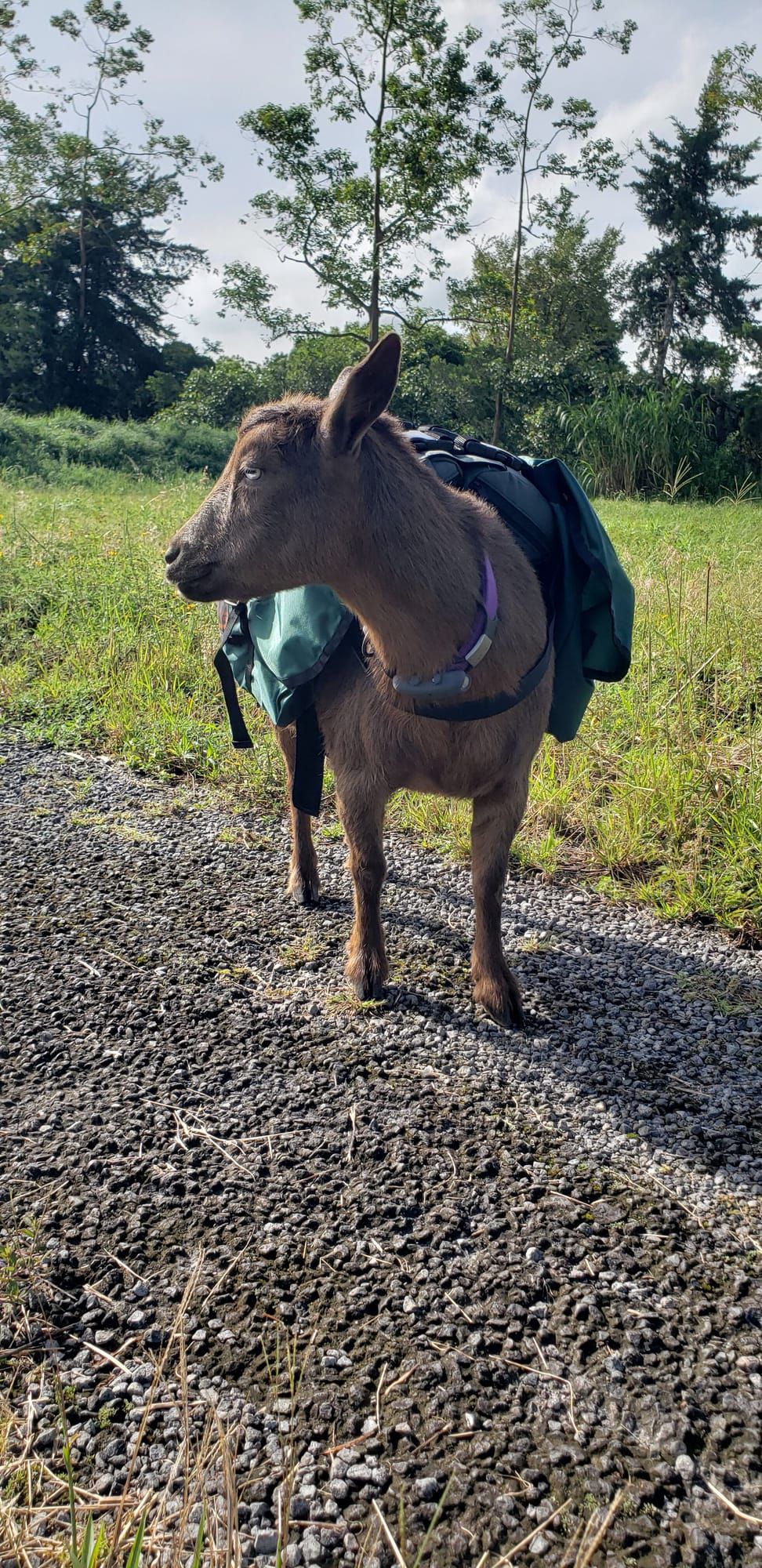 Kat wearing a hiking pack along a gravel road at the Retreat & Wellness Center